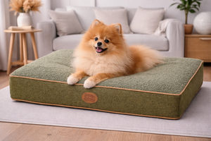 Do Dogs Really Need an Orthopaedic Bed? The Truth About Joint Support