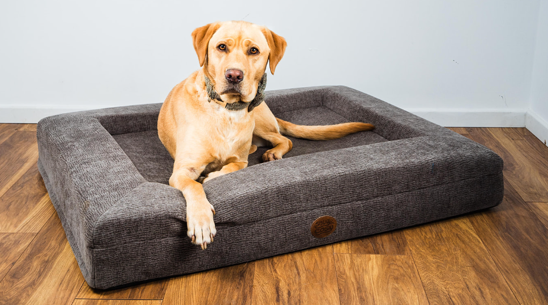 Orthopaedic Dog Lounger Beds