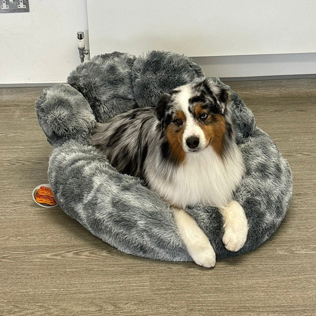 Anxiety Relieving Calming Dog Bed Paw