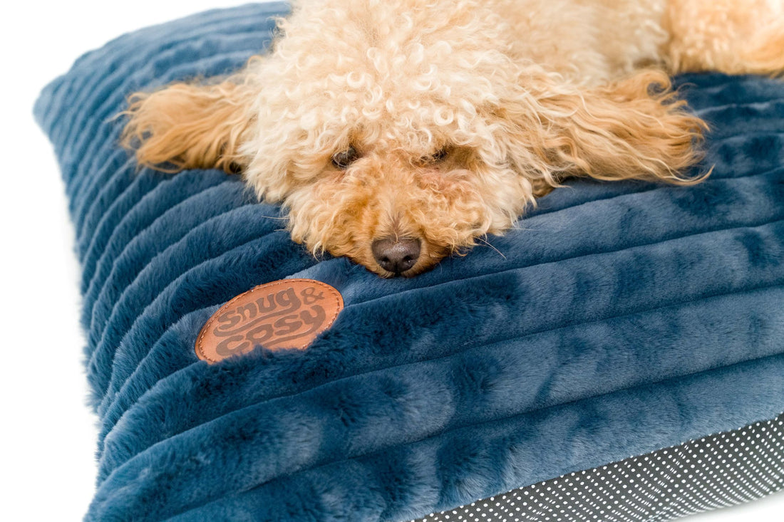 ALASKA FAUX FUR CUSHION