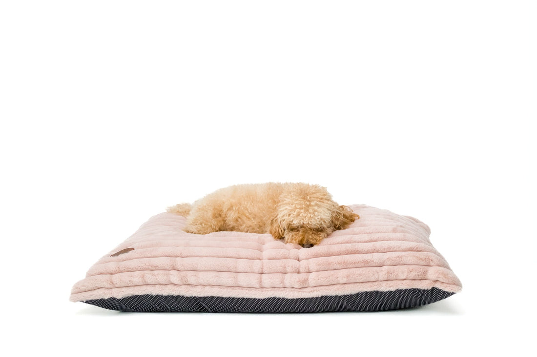 ALASKA FAUX FUR CUSHION