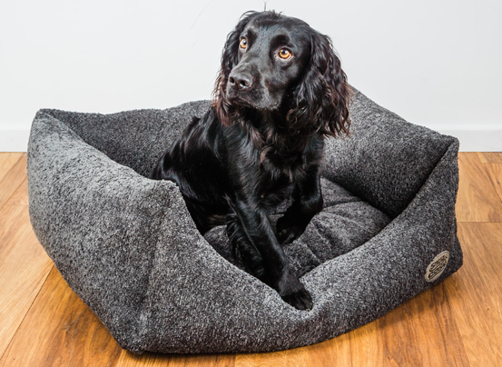 Luxury Teddy Boucle Dog Puppy Bed - Plush Pet Bed with Padded Sides - Dog Bed for dogs Snug and Cosy Pets