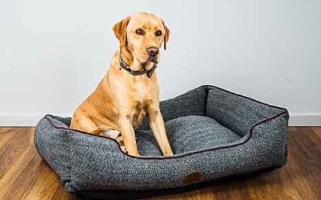 Edinburgh Herringbone Dog Rectangle Bed
