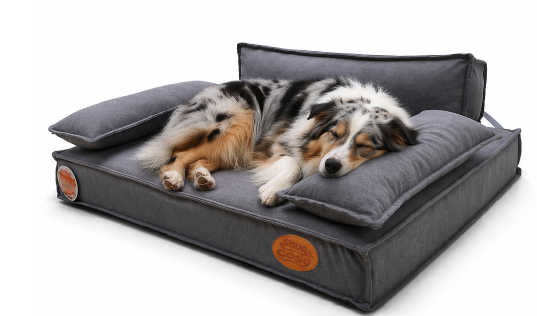 Orthopaedic Memory Foam Dog Lounger with 2 Removable Side Pillows – Grey (88x68x26cm) - Dog Beds & Loungers for dogs Snug and Cosy Pets