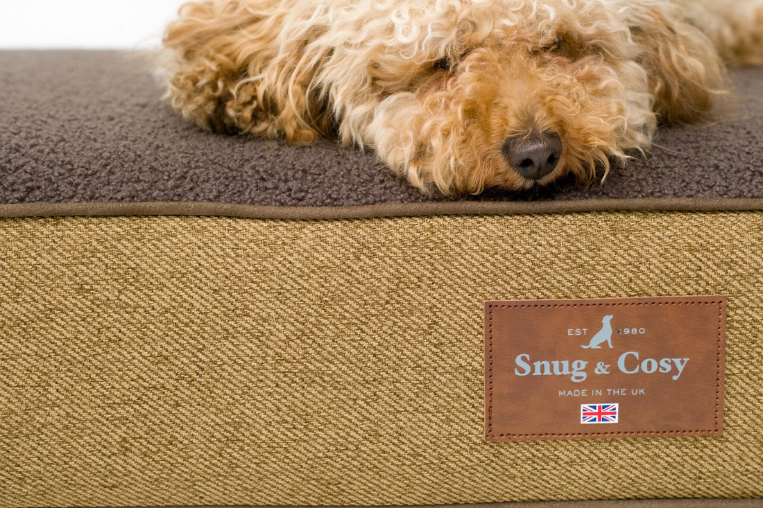 Heritage Tweed Orthopaedic Lounger