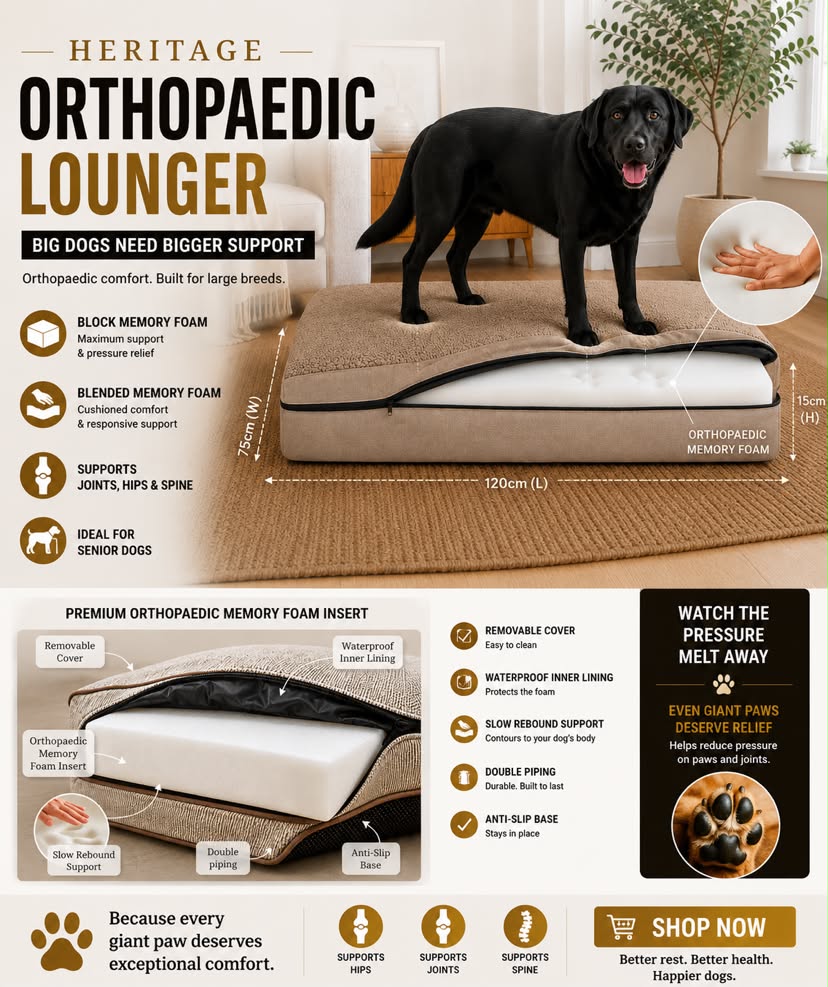 Heritage Tweed Orthopaedic Dog Bed Lounger | Memory Foam | Senior & Arthritic Dogs - Dog Bed for dogs Snug and Cosy Pets