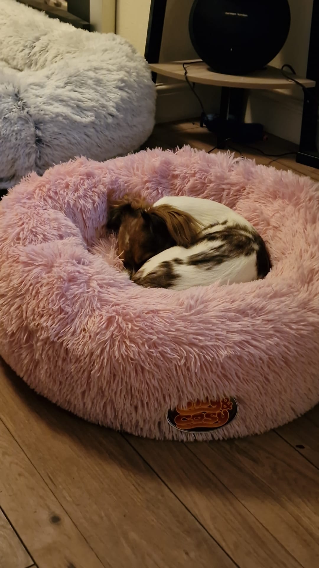 Anti Anxiety Donut Pet Bed