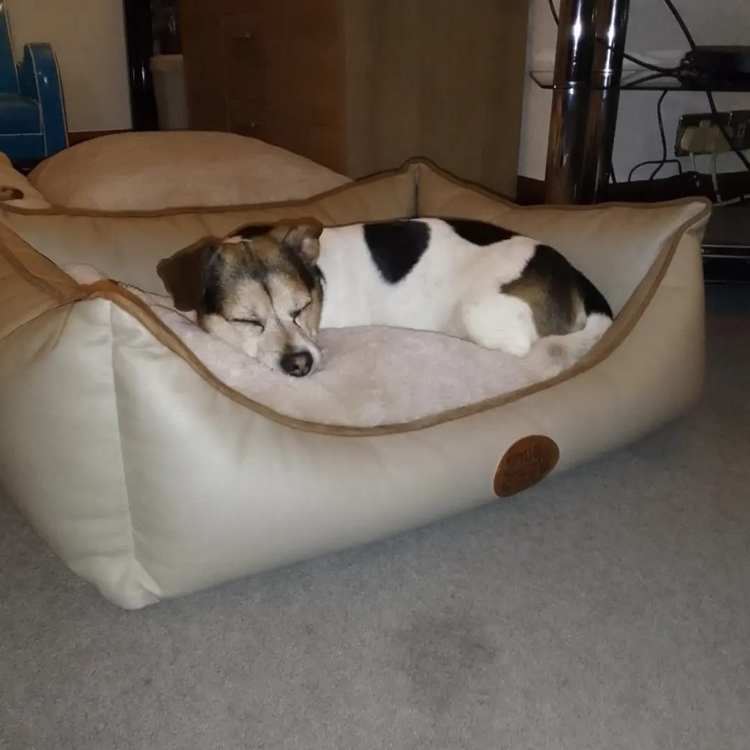 Tuscany Diamond Faux Leather Dog Bed