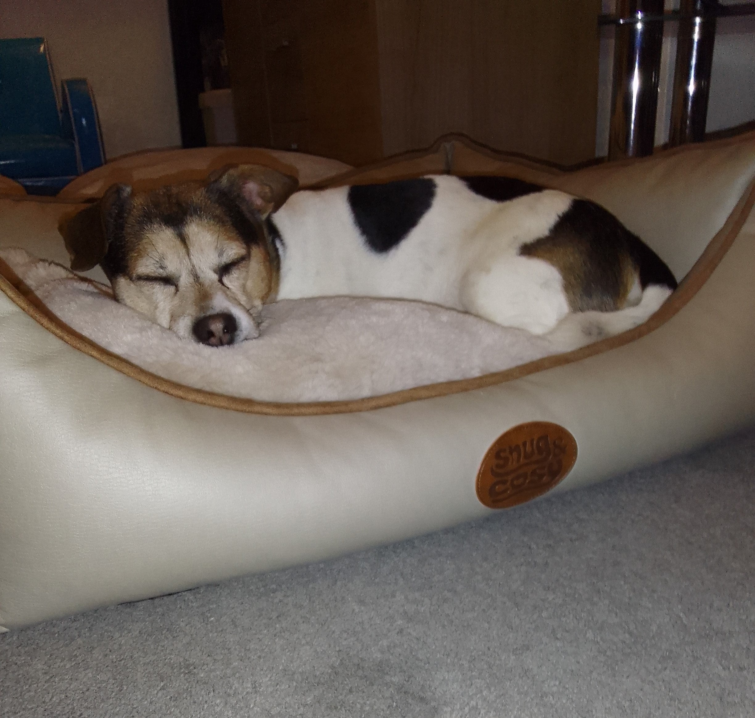 Tuscany Diamond Faux Leather Dog Bed