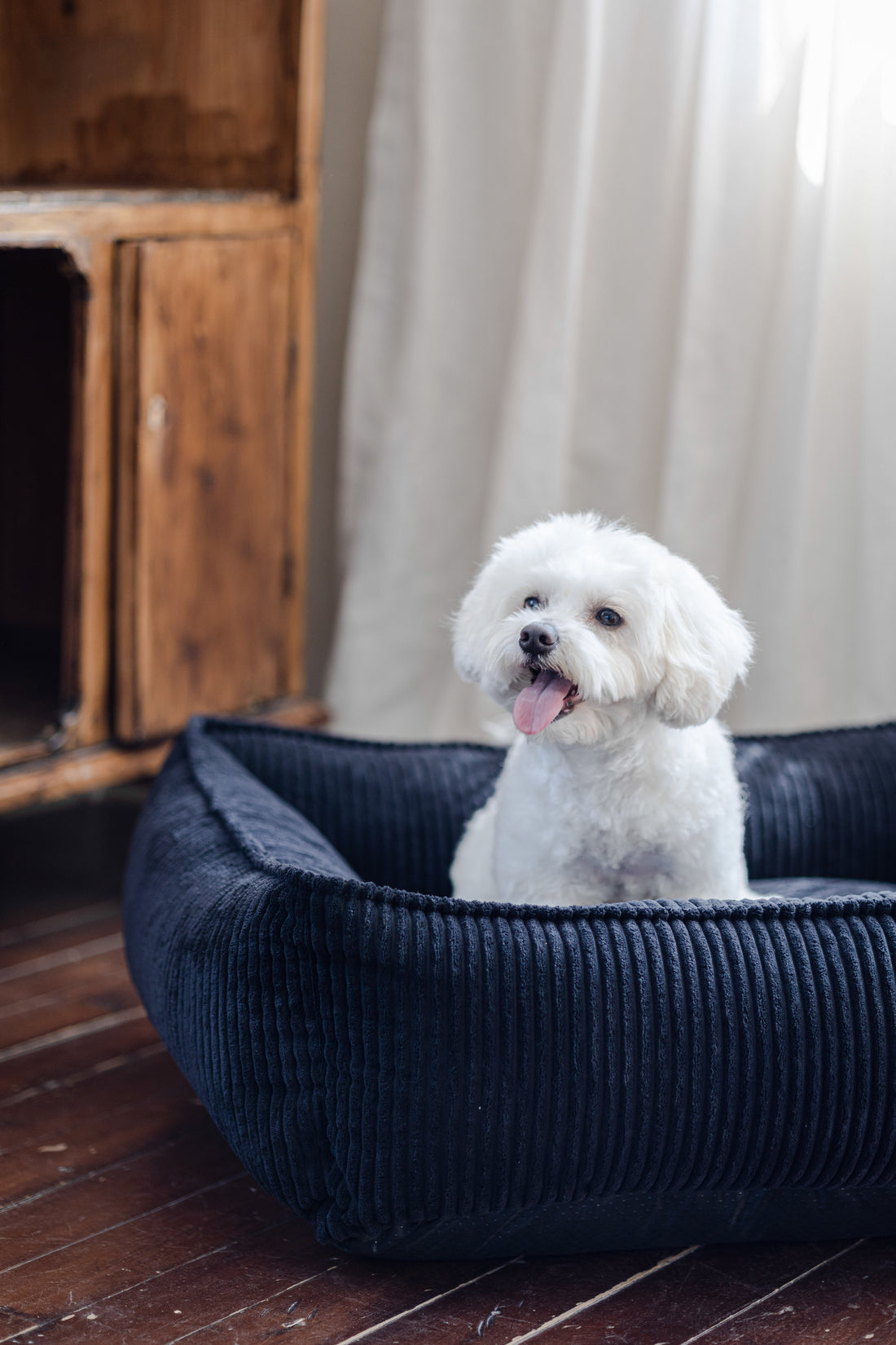 The San Remo Chunky Cord Dog Bed