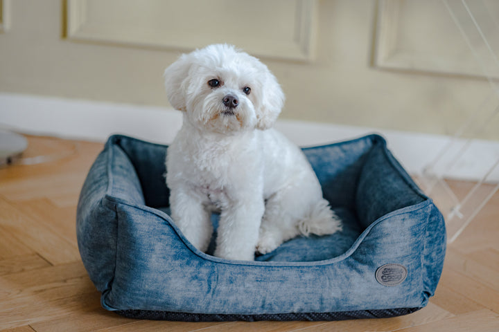 Eco Rectangle Dog Pet Puppy Bed - Recycled Plastic Bottle Yarn Wipe-Clean - Pet Beds for dogs Snug and Cosy Pets