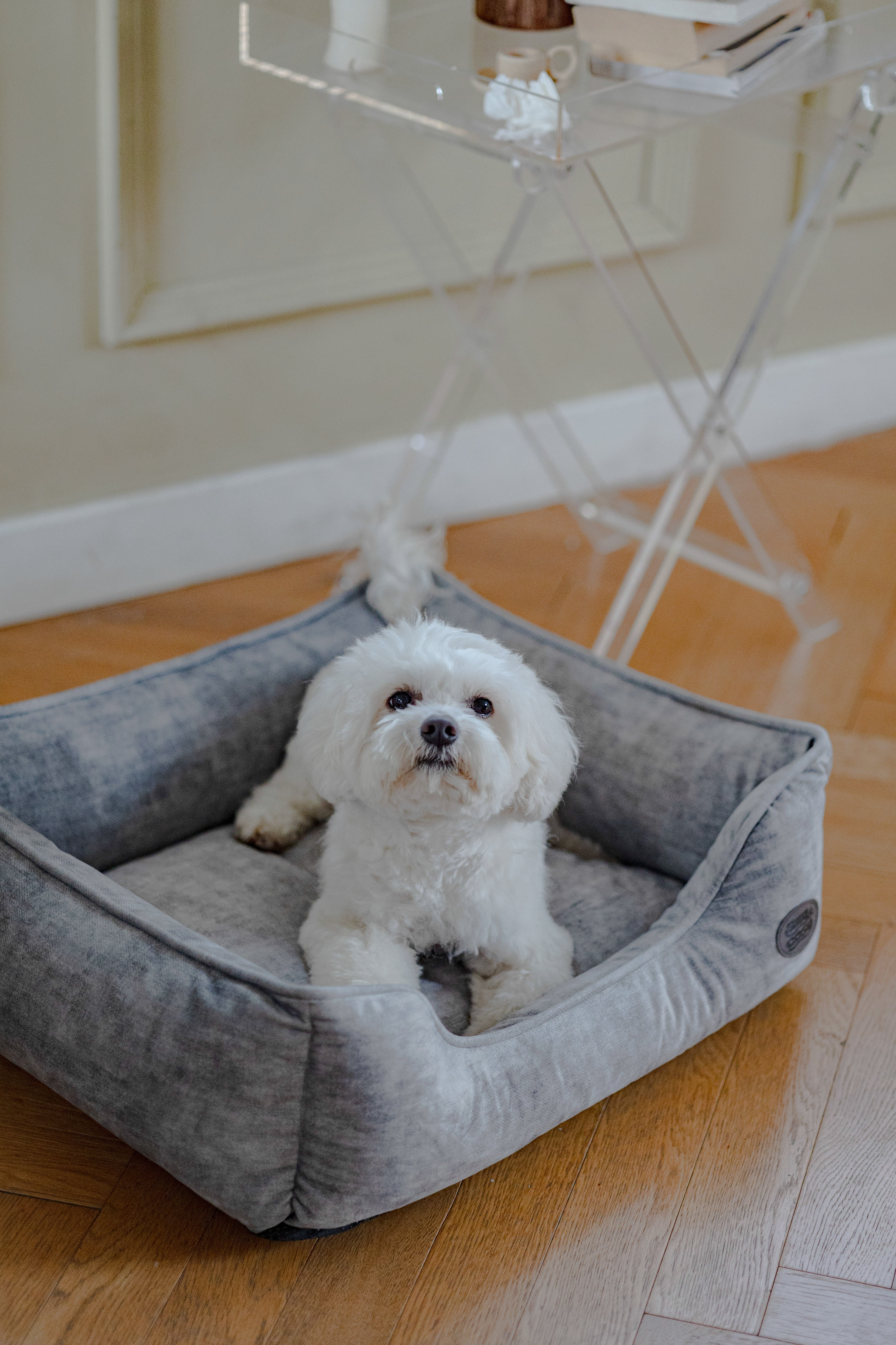 Eco Rectangle Dog Bed