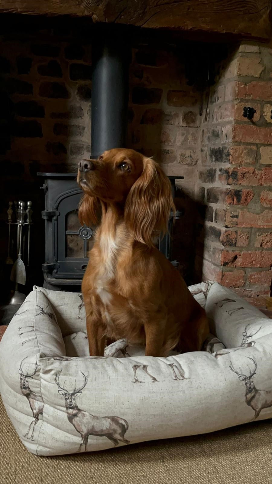 Moorland Stag Reversible Rectangle Dog Bed - Pet Beds for dogs Snug and Cosy Pets