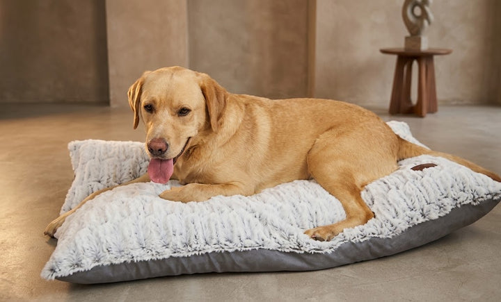 Novara Faux Suede Dog Lounger Cushion Pet Grey - Dog Bed for dogs Snug and Cosy Pets