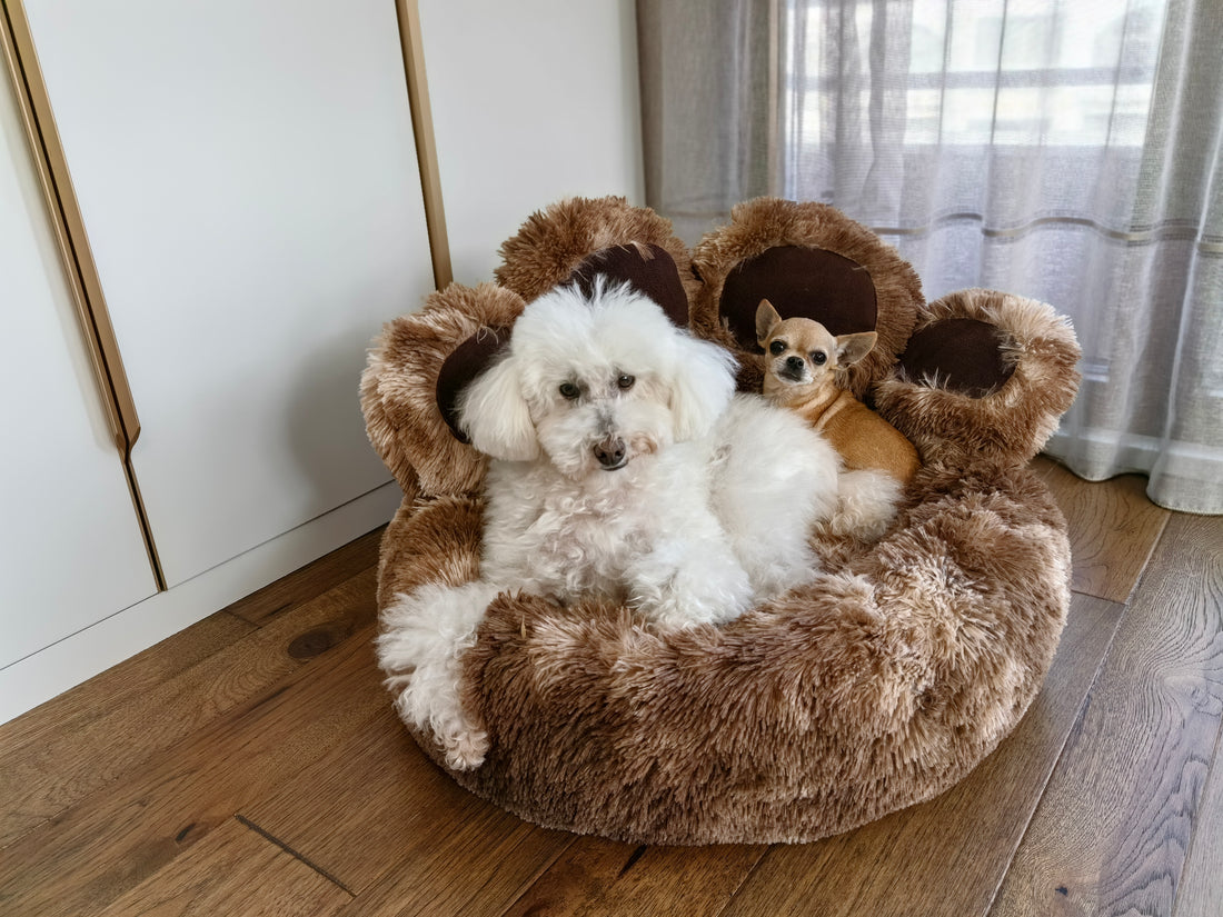 Anxiety Relieving Calming Dog Bed Paw