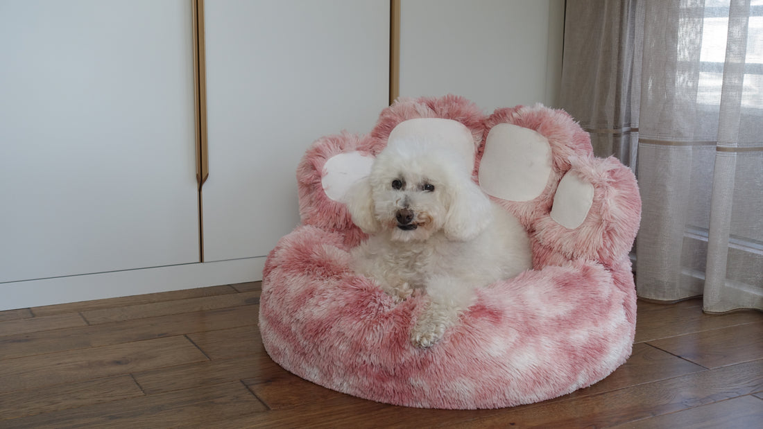 Anxiety Relieving Calming Dog Bed Paw