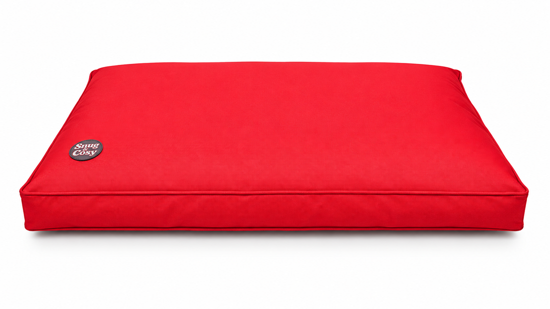 Pescara Waterproof Dog Lounger | Gnaw-Resistant, Indoor & Outdoor - Dog Bed for dogs Snug and Cosy Pets