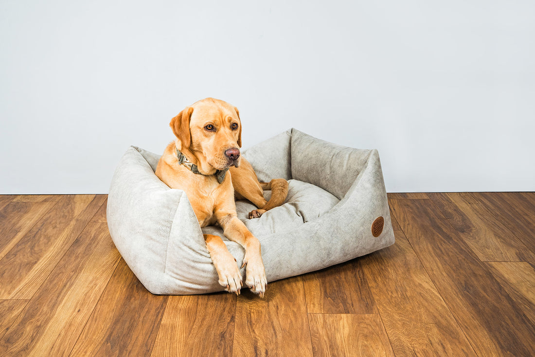 Velour Dog Bed