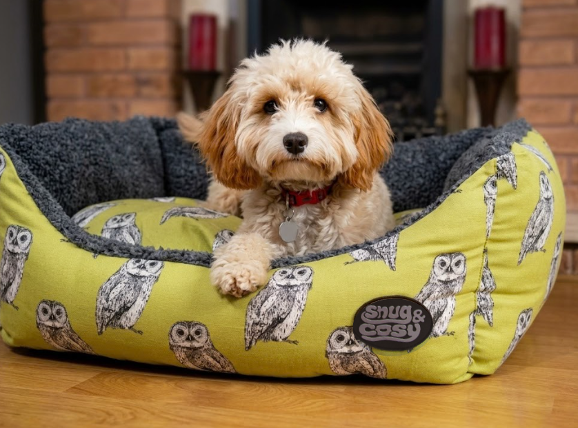 Owl Print Dog Pet Bed - Dog Bed for dogs Snug and Cosy Pets