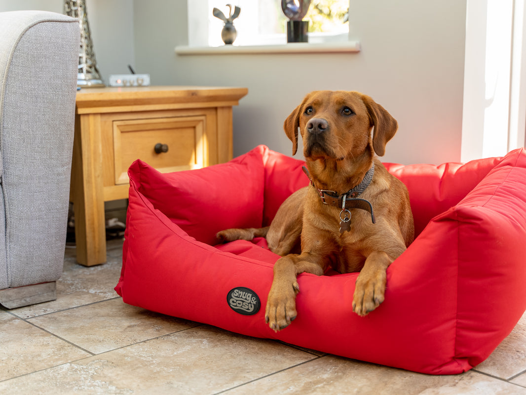 Pescara Waterproof Dog Pet Bed Gnaw-Resistant for Chewers - Dog Bed for dogs Snug and Cosy Pets