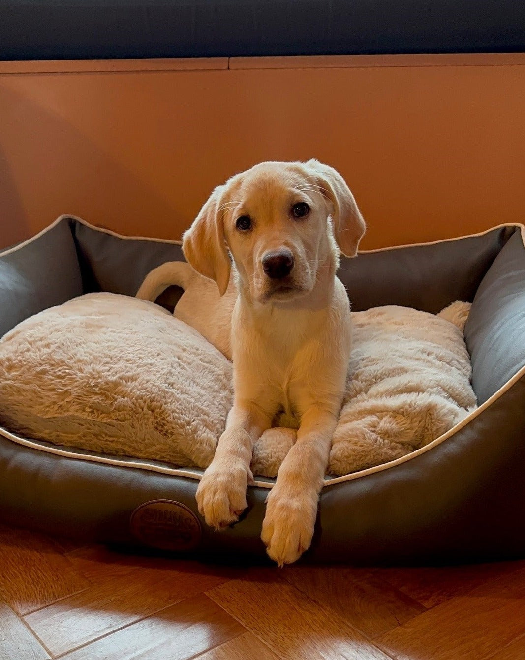 Tuscany Diamond Faux Leather Dog Bed