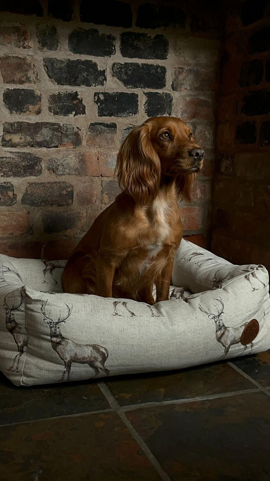 Moorland Stag Reversible Rectangle Dog Bed - Pet Beds for dogs Snug and Cosy Pets