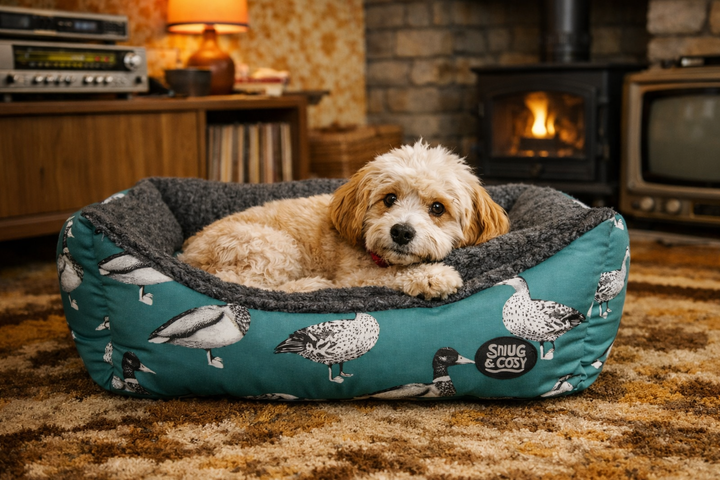 Teal Duck Print Dog Bed - Nature Collection Rectangle with Virgin Fibre for Ultimate Comfort - Pet Beds for dogs Snug and Cosy Pets