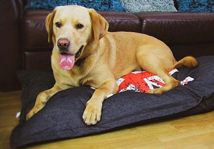 Union Jack Dog Bed Lounger Cushion  Denim Navy Blue