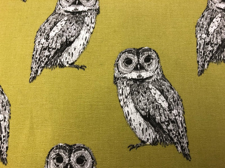 Owl Print Lounger