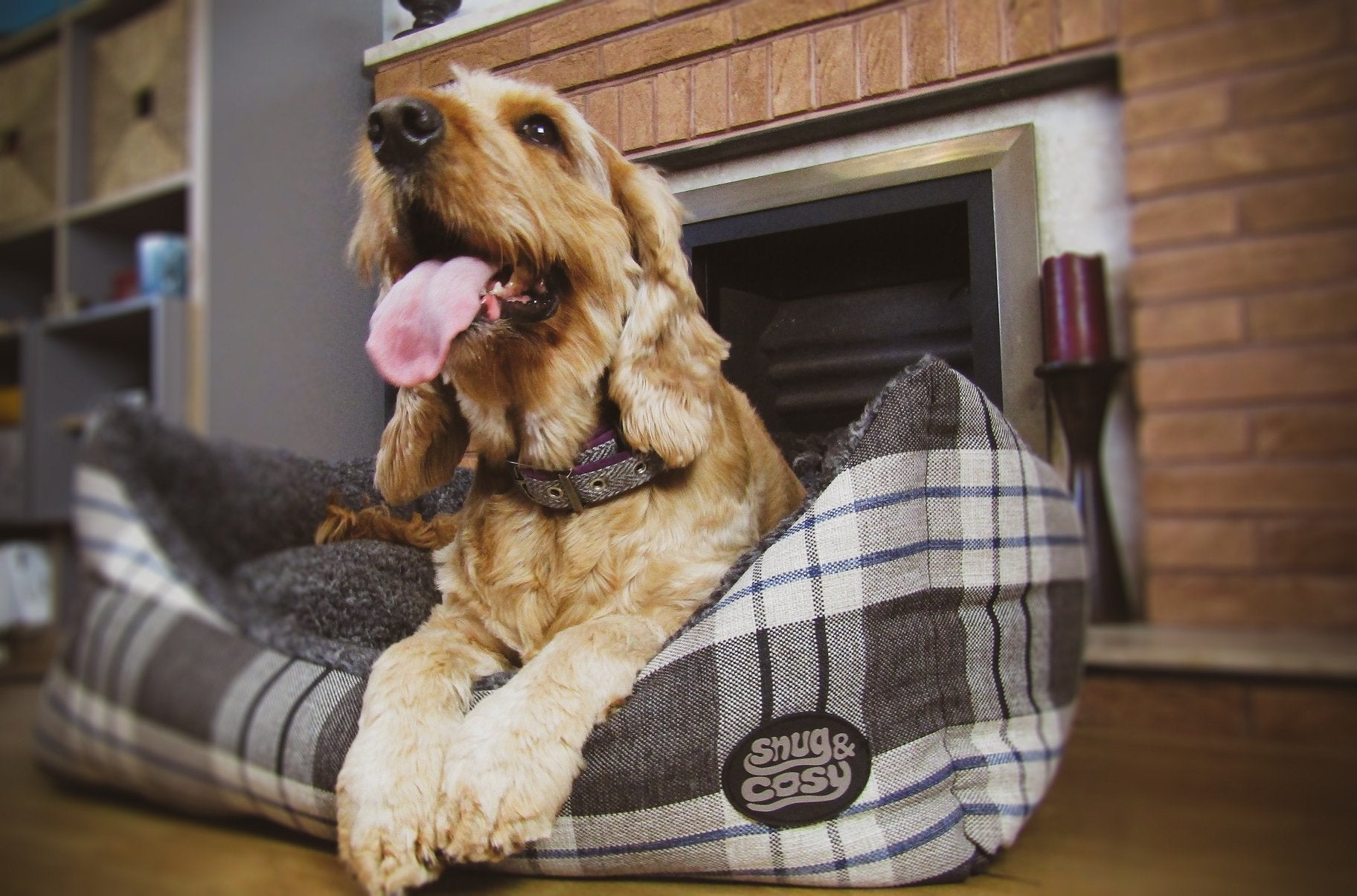 The Kensington Bed - for dogs Snug and Cosy Pets