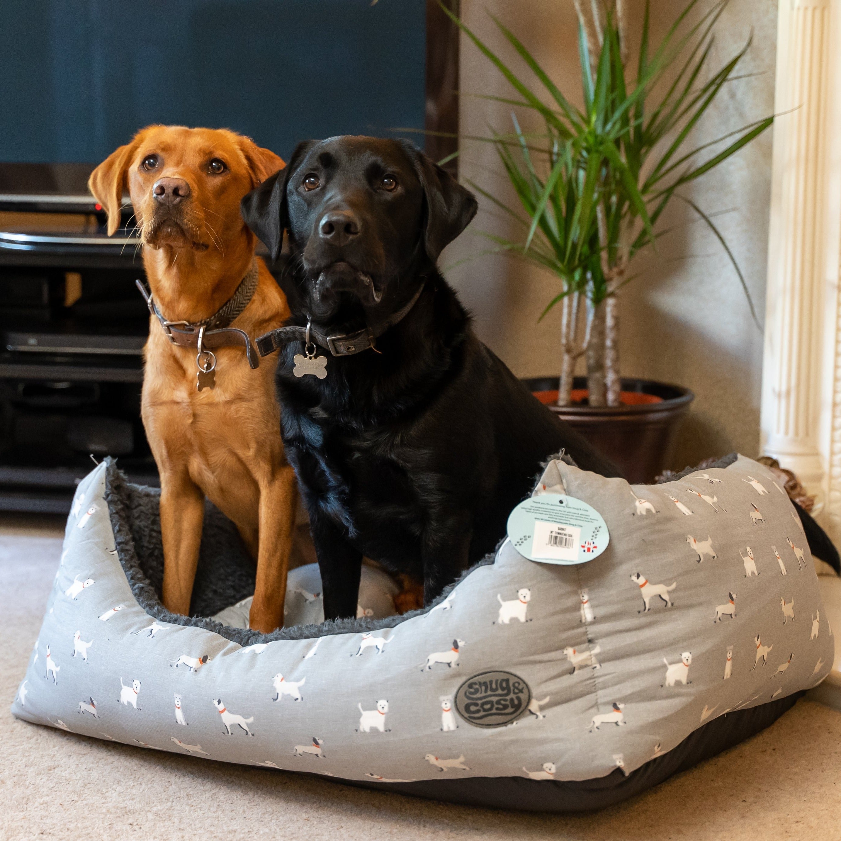 The Townsend Bed - for dogs Snug and Cosy Pets